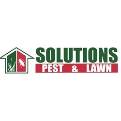 Solutions pest and lawn
